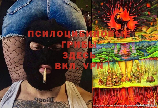 прущие крисы Новозыбков