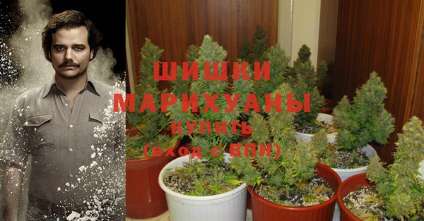 прущие крисы Новозыбков