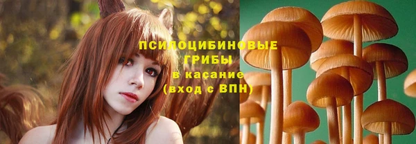 герыч Новокубанск