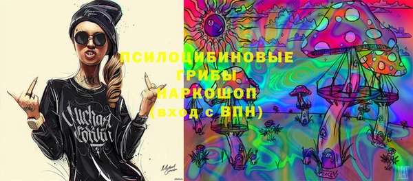 таблы Новодвинск