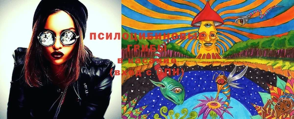 таблы Новодвинск