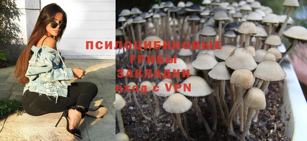 герыч Новокубанск