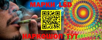 крисы Шахты