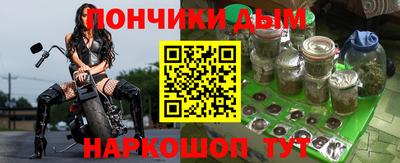 крисы Шахты