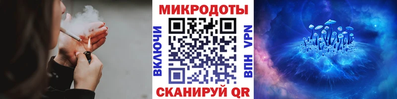 Галлюциногенные грибы Psilocybe  наркота  Тында 