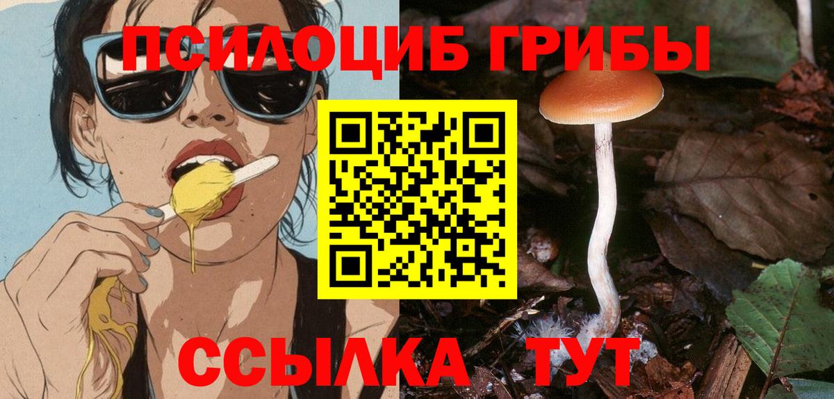 Галлюциногенные грибы мицелий Тында
